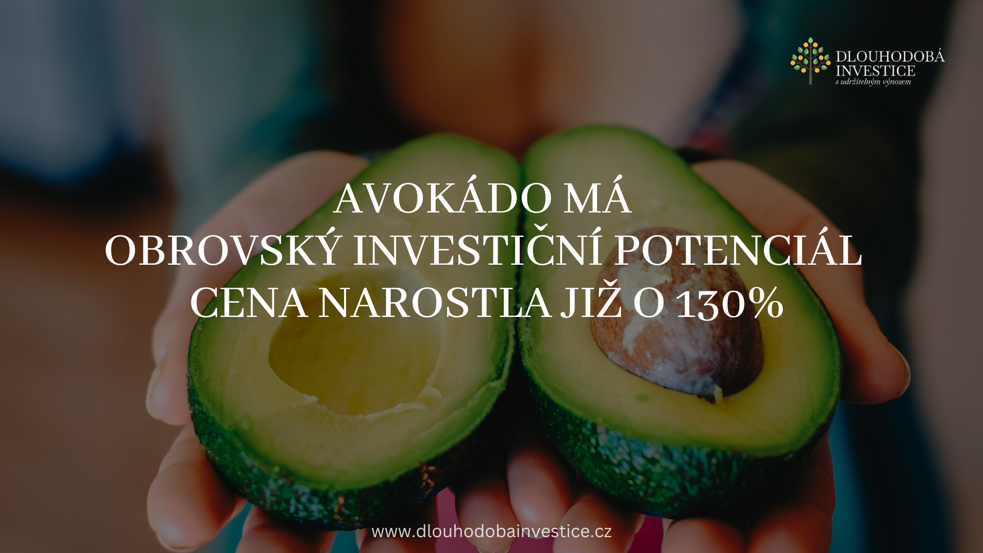 Avokádo je obrovská investiční příležitost – cena narostla již o 130%