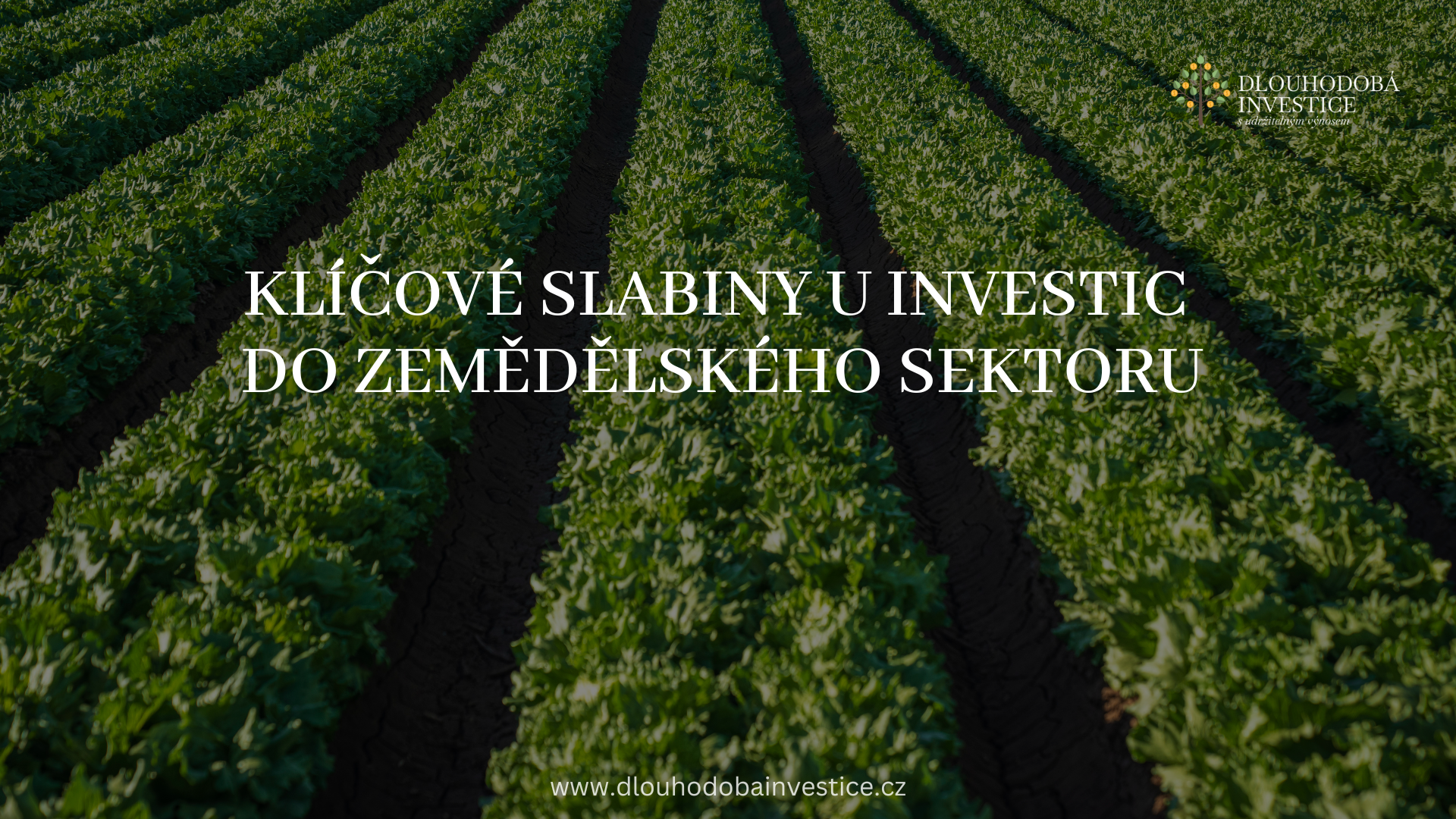 Klíčové slabiny u investic do agro komodit