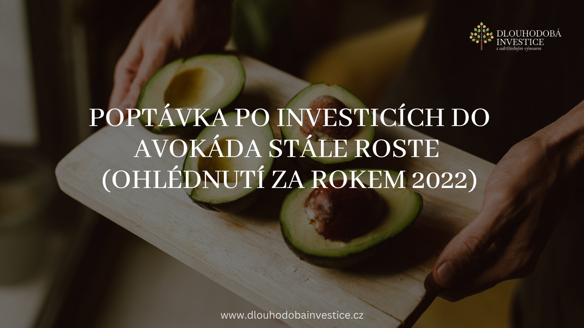 Poptávka po investicích do avokáda stále roste