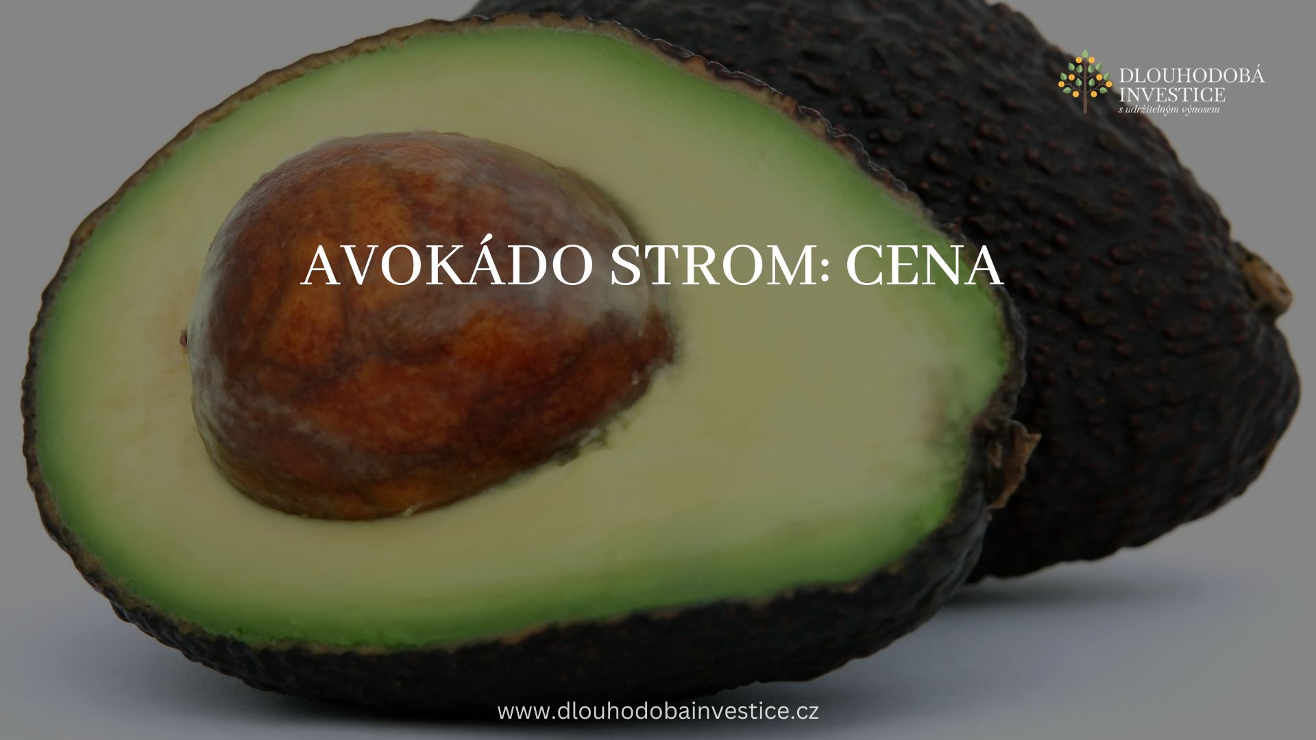 Avokádo strom: cena