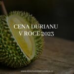 Cena durianu v roce 2023 dlouhodobainvestice.cz