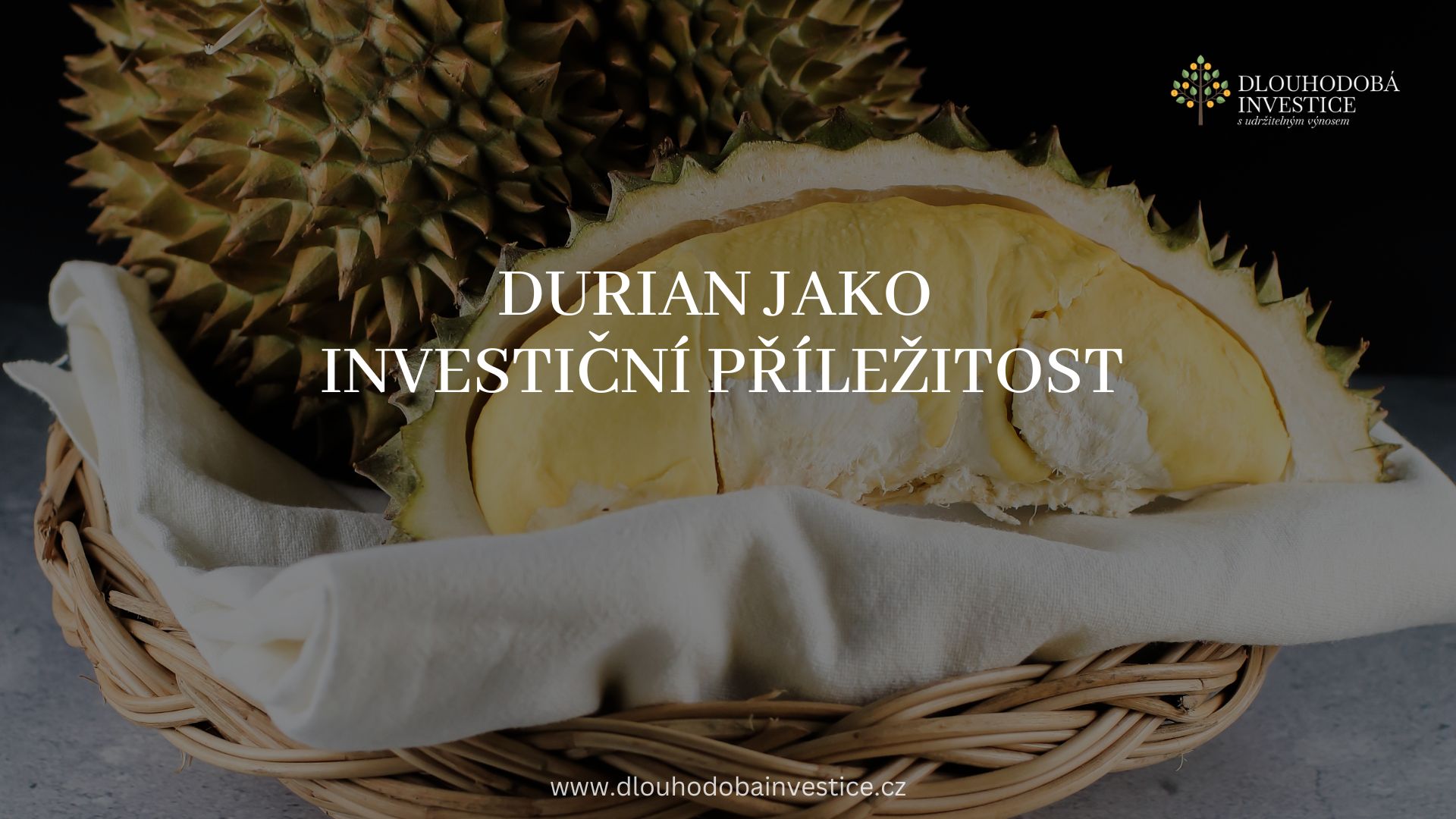 Durian jako investiční příležitost