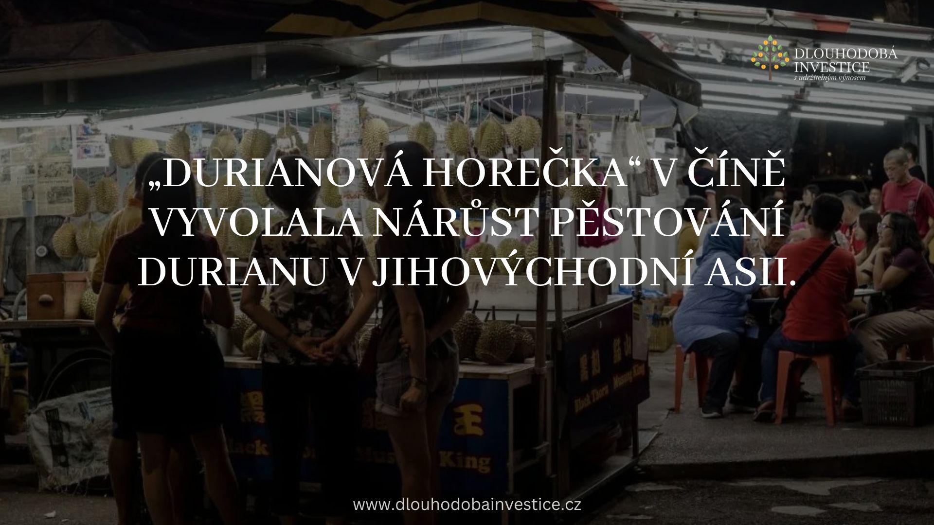 „Durianová horečka“ v Číně vyvolala nárůst pěstování durianu v jihovýchodní Asii